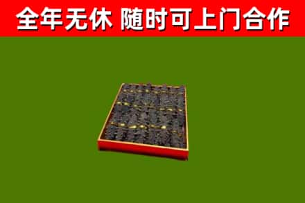方城县回收海参